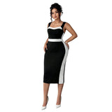 Women's Elegant Intellectual Style Contrasting-color Dress