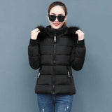 Ladies large fur collar padded down jacket-11